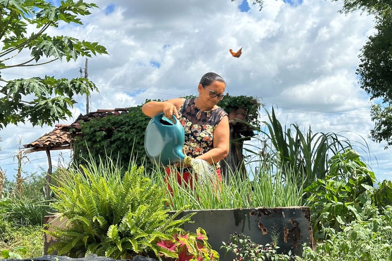 Fomento Rural aumenta em 30% renda familiar de beneficiados, diz estudo do MDS