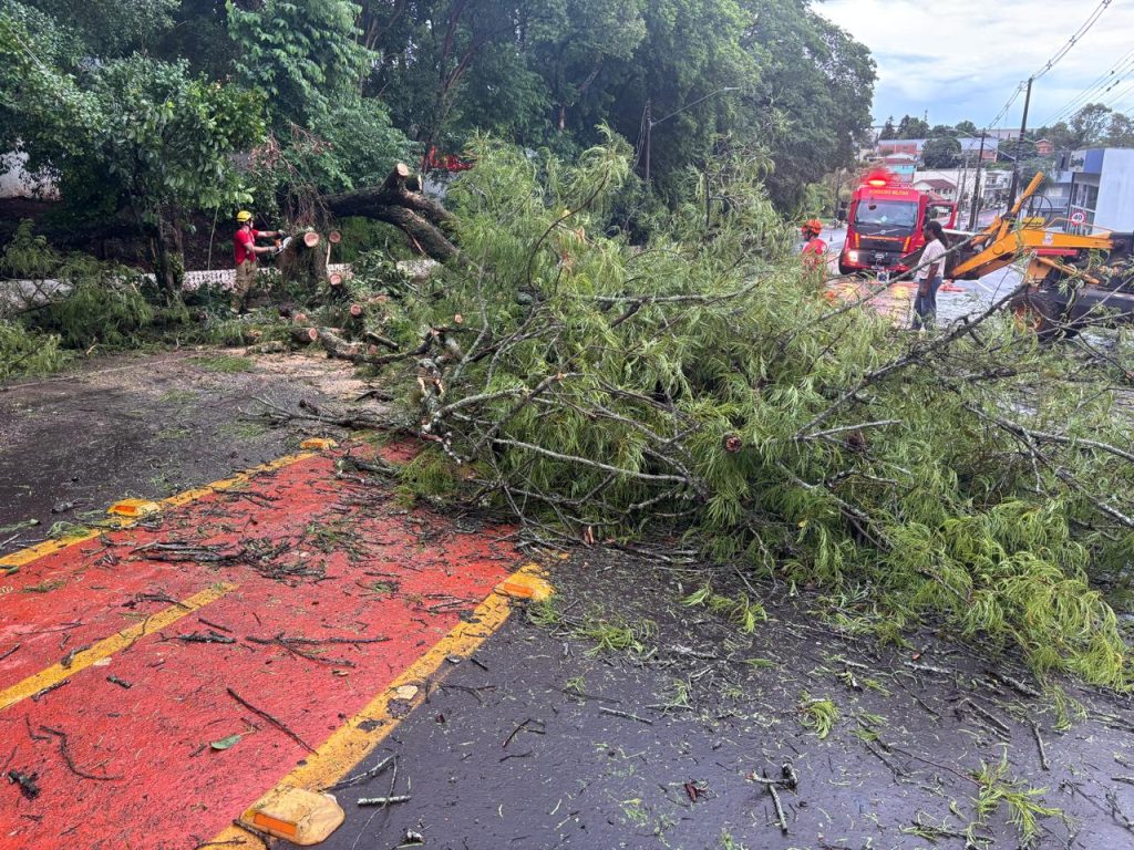Queda de árvore atinge carro e interrompe trânsito no Centro de Não-Me-Toque