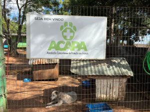 Venda de calendários e agendas ajuda a manter os trabalhos da ACAPA