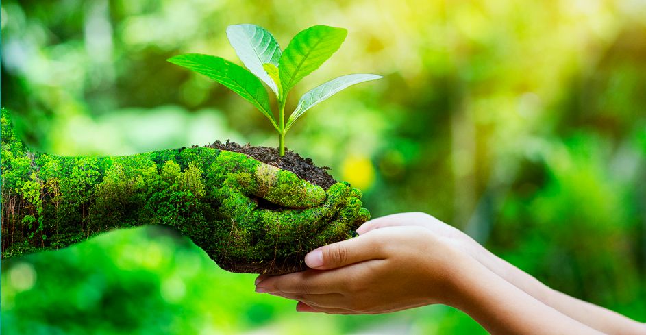 Emissão de licenças ambientais cresce 82% em Carazinho em 2025