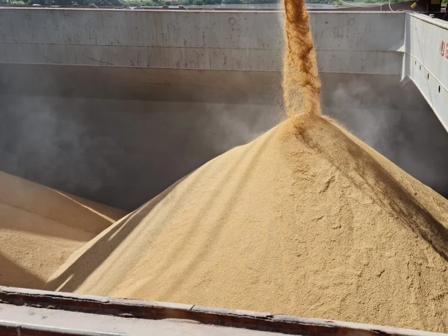 Maior volume de projetos da Consulta Popular é destinado ao agro