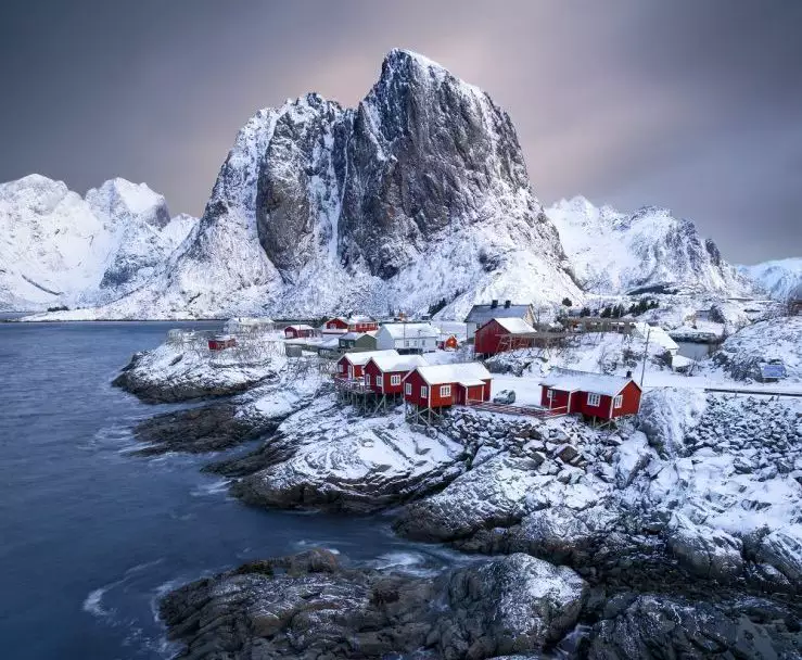 Otan e Dinamarca negam ter oferecido parte da soberania da Groenlândia a Trump