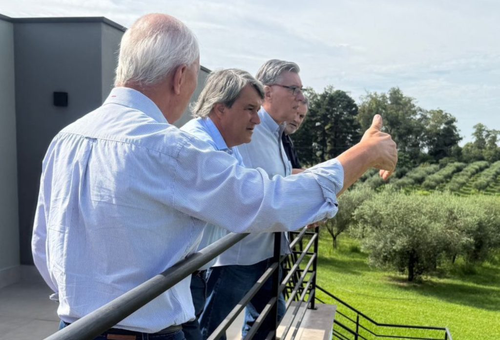 Abertura da Colheita da Oliva muda para abril e adota formato voltado a negócios