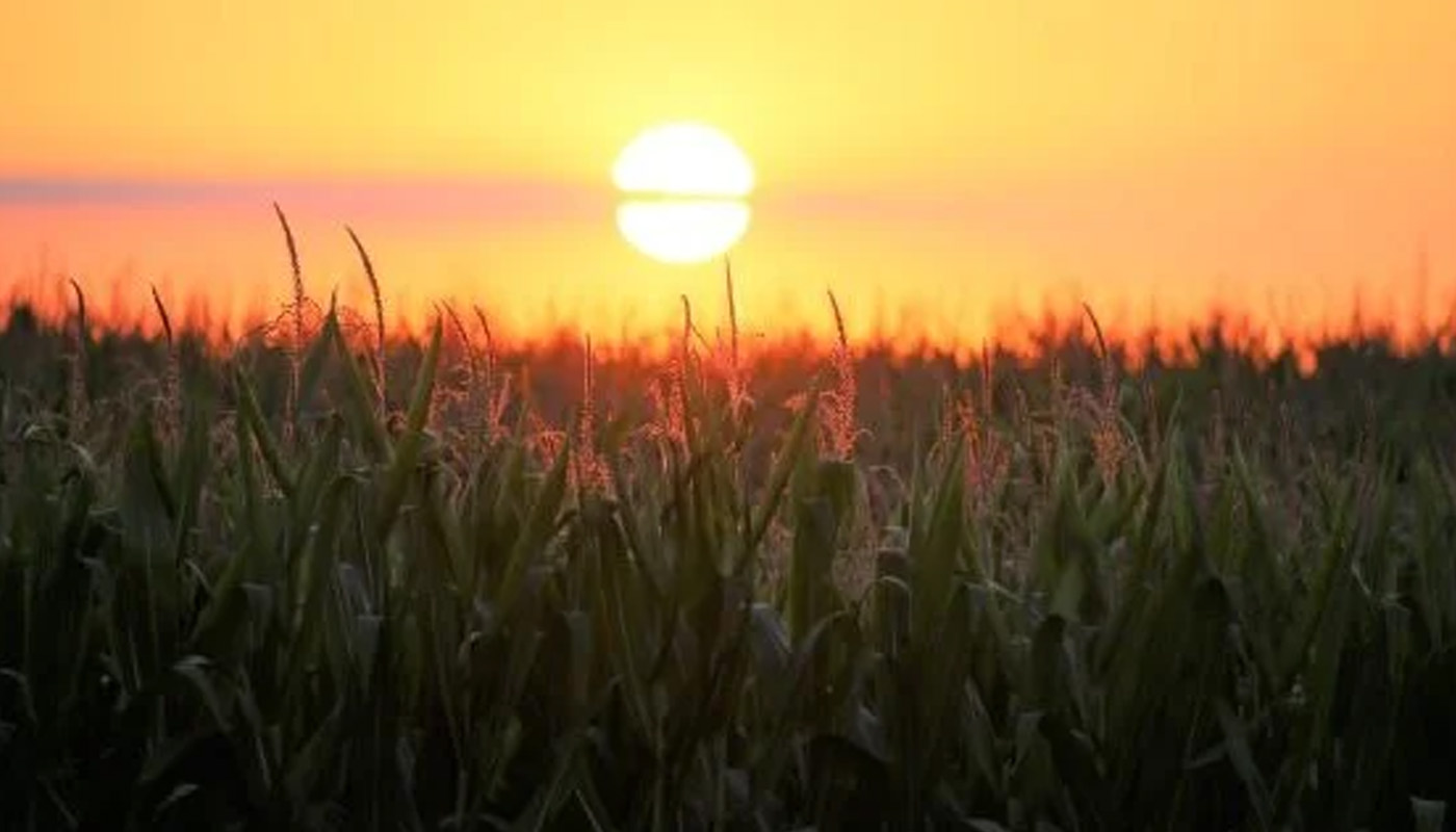 Situação do crédito rural ainda vai piorar no primeiro semestre, adverte entidade