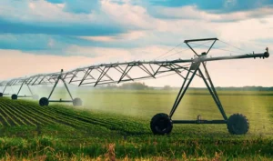 Estudos da Farsul embasam pedido de prorrogação de dívida com União