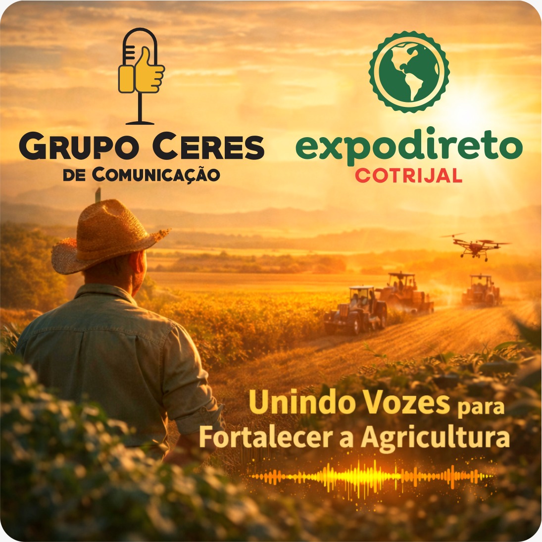 WhatsApp Image 2026-02-17 at 14.09.56