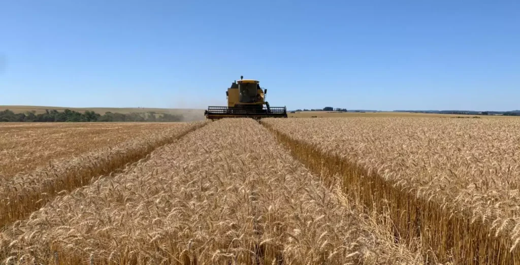 Projeção para safra agrícola deste ano fica mais próxima do recorde alcançado em 2025