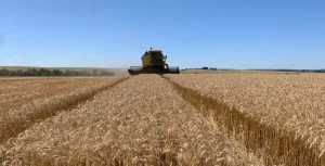 Projeção para safra agrícola deste ano fica mais próxima do recorde alcançado em 2025