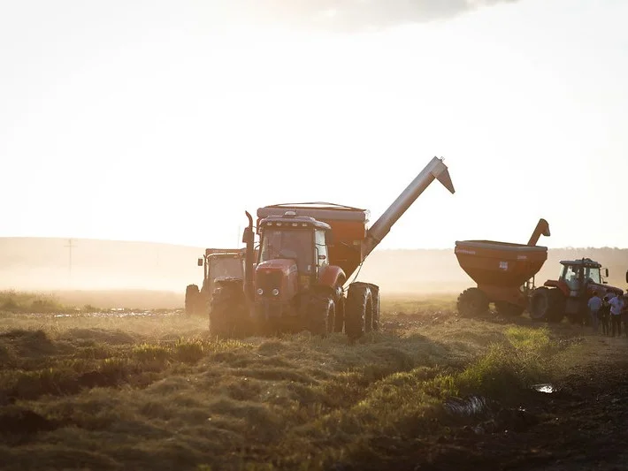 Expectativa para reação nos preços do arroz