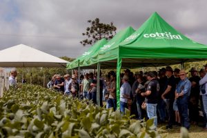 Dia de Campo Cotrijal 2026 reforça estratégias para produção eficiente e rentável