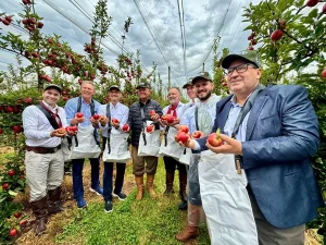 Rio Grande do Sul deve exportar 40 mil toneladas de maçã
