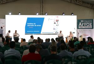 Reunião da Câmara Setorial do Arroz vai buscar alternativas práticas para crise do setor
