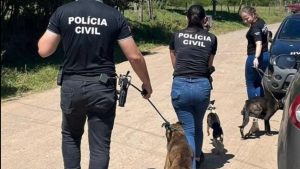 Rio Grande do Sul conta com 62 delegacias com o selo Amiga dos Animais para investigar casos de maus-tratos