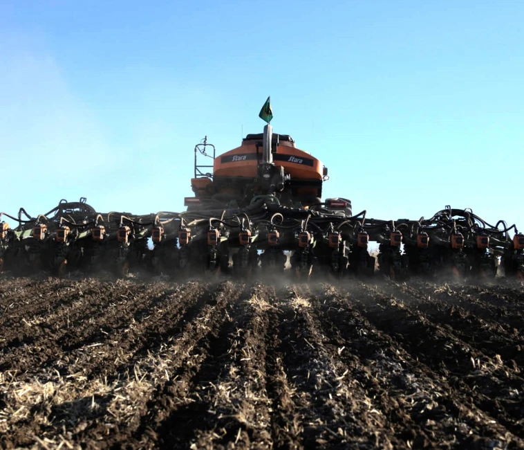 Saúde do solo: guia completo para entender e melhorar o solo agrícola