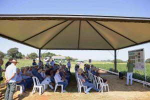 Temas estratégicos para a produção de soja serão destaque em Dia de Campo promovido pela Cotrijal