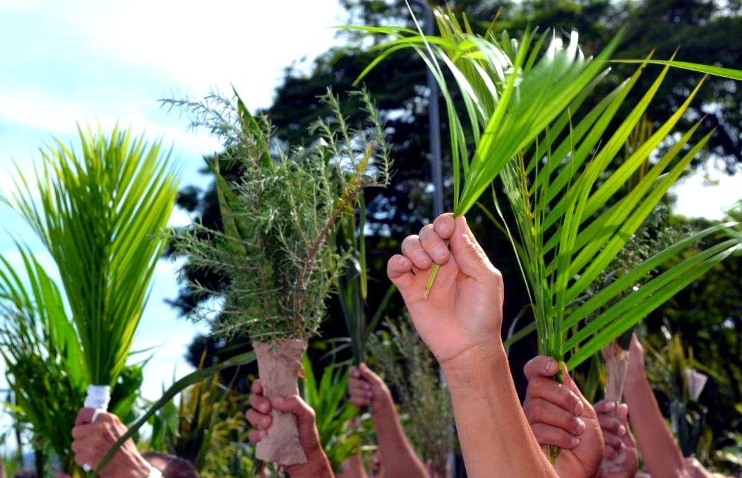Domingo de Ramos terá procissão e celebração religiosa em Não-Me-Toque