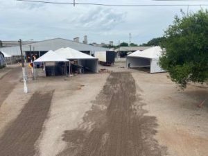 Lagoa dos Três Cantos intensifica preparativos para a 24ª Lagoa Fest