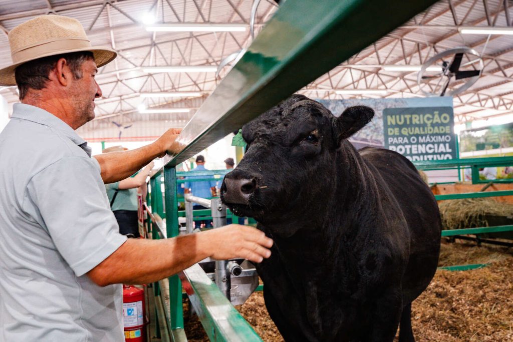 Produção Animal oferece orientações e investimentos para futuro do setor
