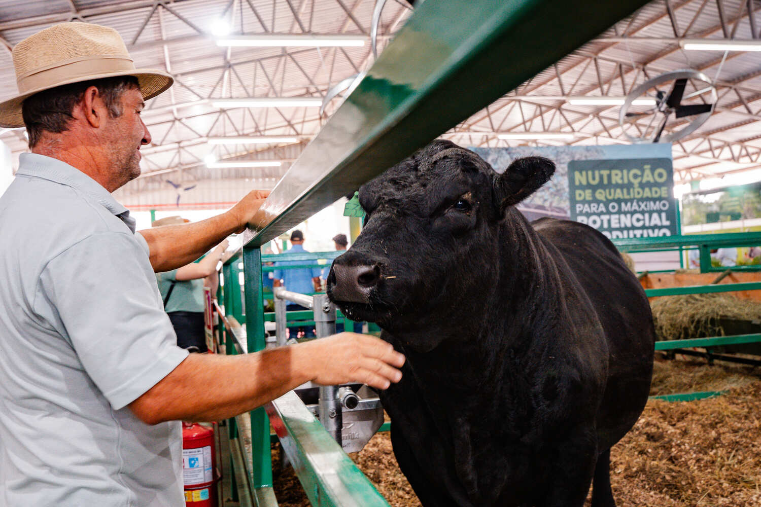Produção Animal oferece orientações e investimentos para futuro do setor