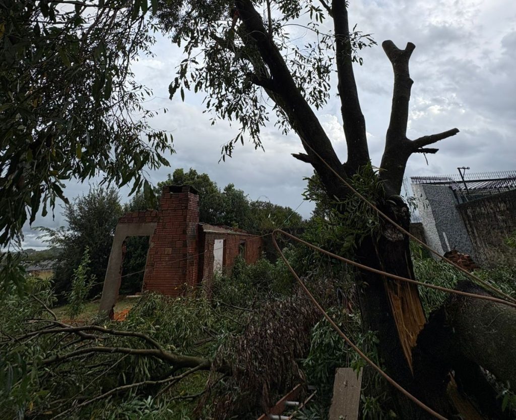 Bombeiros atendem ocorrências de árvores em risco após mau tempo em Carazinho
