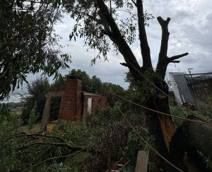 Bombeiros atendem ocorrências de árvores em risco após mau tempo em Carazinho
