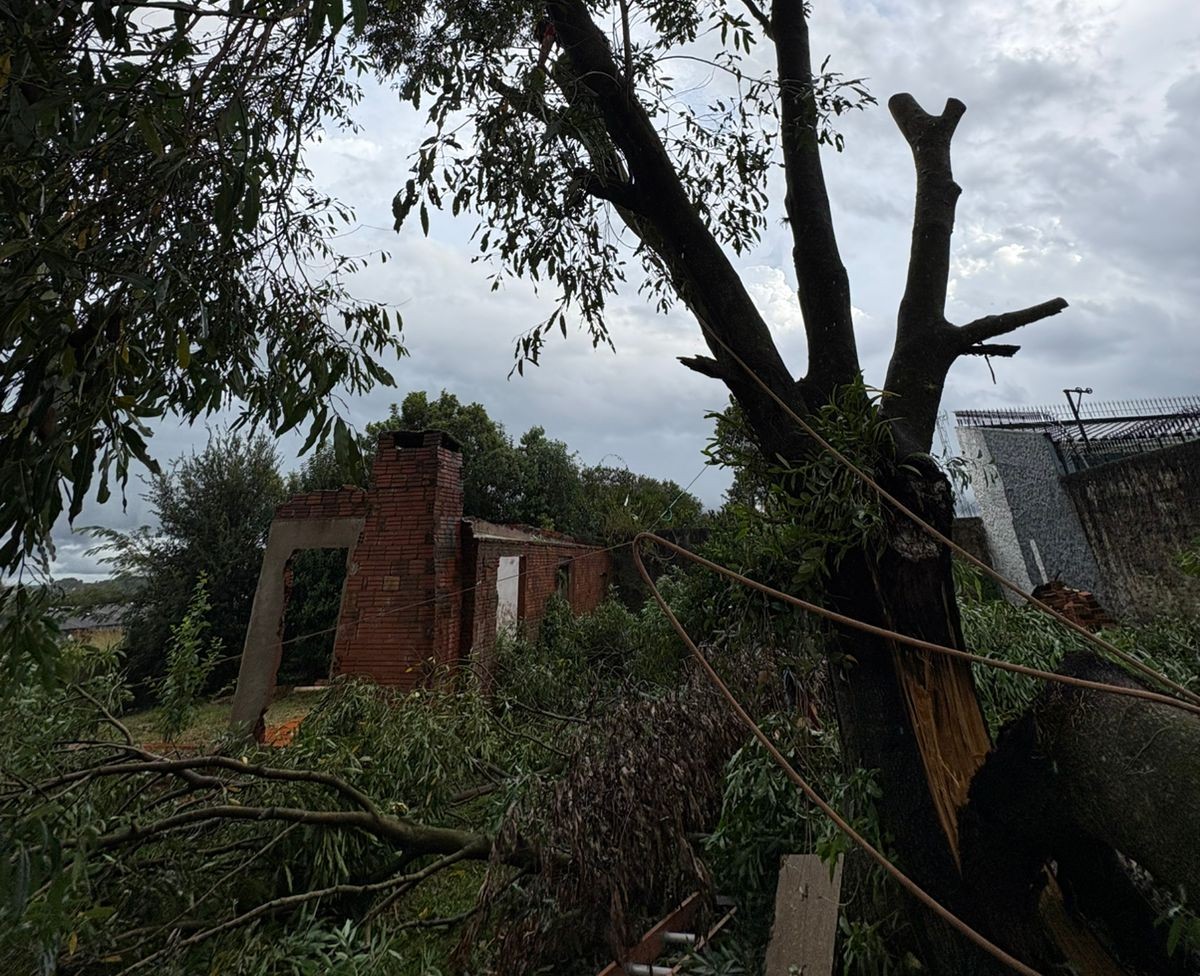 Bombeiros atendem ocorrências de árvores em risco após mau tempo em Carazinho