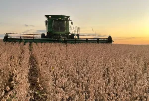 Produção brasileira de soja deve somar 184,7 milhões de toneladas
