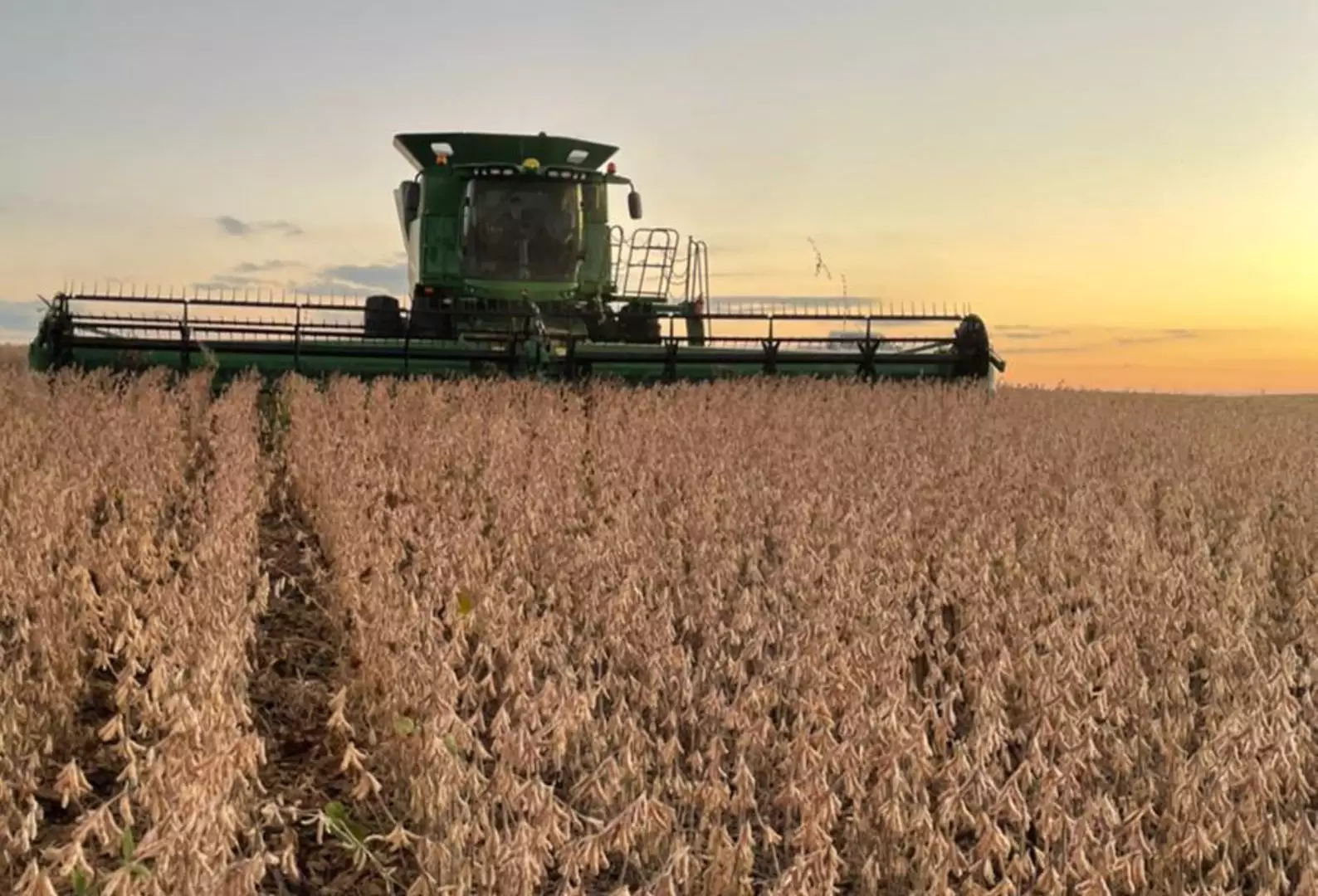 Produção brasileira de soja deve somar 184,7 milhões de toneladas