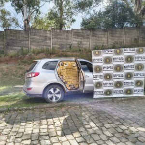 Brigada Militar prende homem e apreende carga de cigarros contrabandeados na RSC-153 em Barros Cassal
