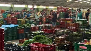 Rio Grande do Sul registra o maior resultado da história da Ceasa e encerra 2025 com superávit de R$ 3,7 milhões