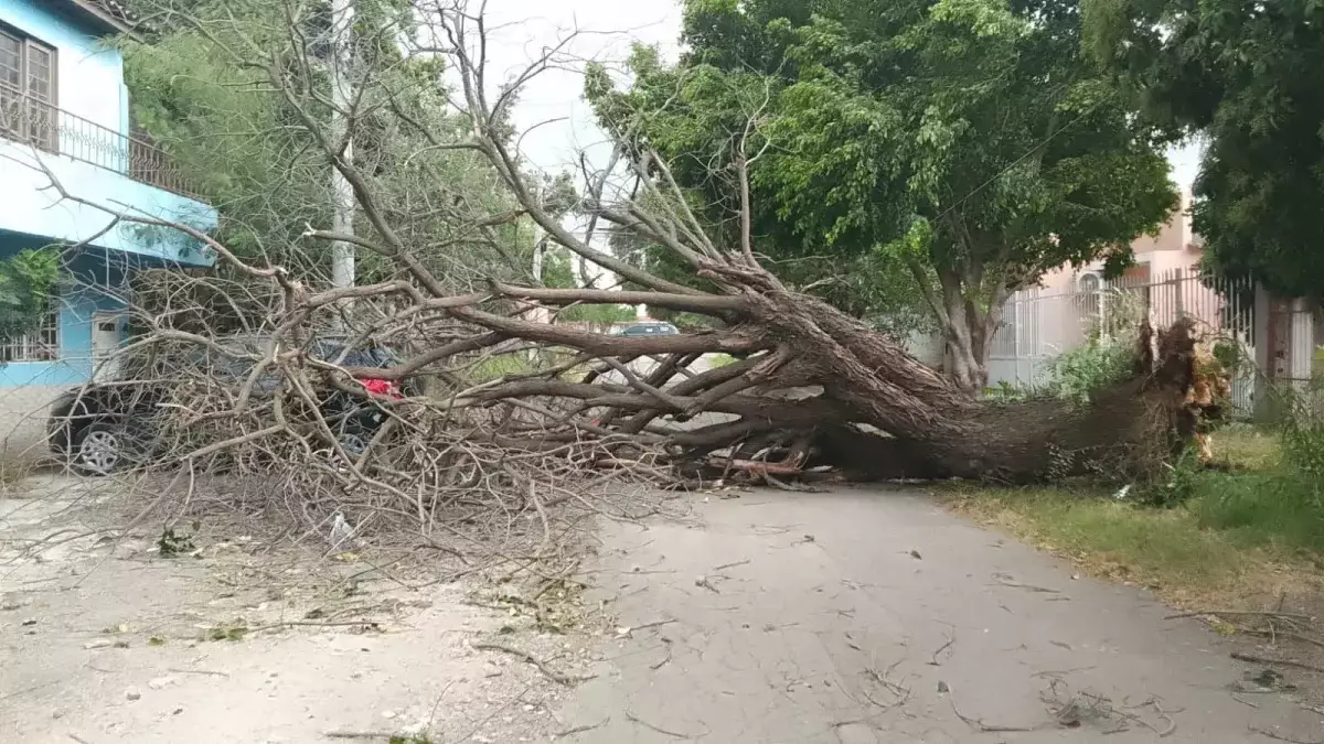 Temporais deixam feridos e desalojados no Rio Grande do Sul