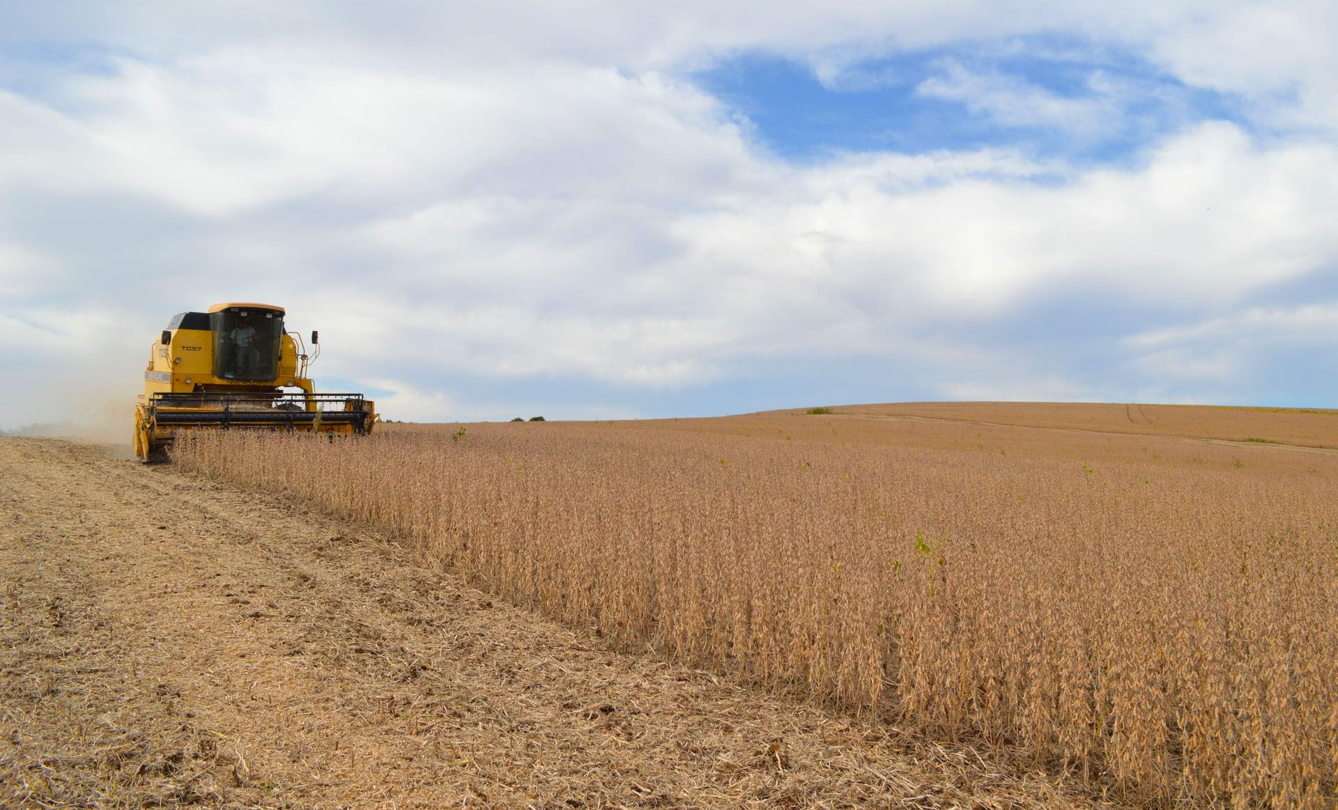 Colheita da soja atinge metade das lavouras da área de atuação da Cotrijal  