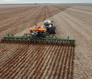 Janela de plantio do milho safrinha: como aumentar eficiência no campo