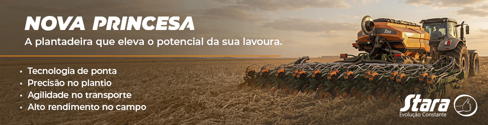 Banner site Nova Princesa