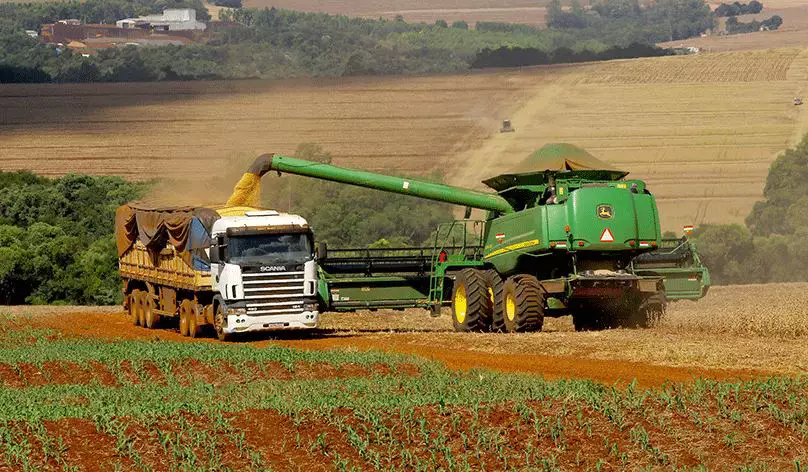 Levantamento do governo do Estado aponta que a agropecuária do Rio Grande do Sul retoma crescimento em 2026