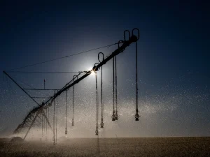 Lançada a terceira fase do projeto Irriga+RS