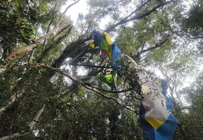 Queda de ultraleve mata piloto em área de mata em Guaporé