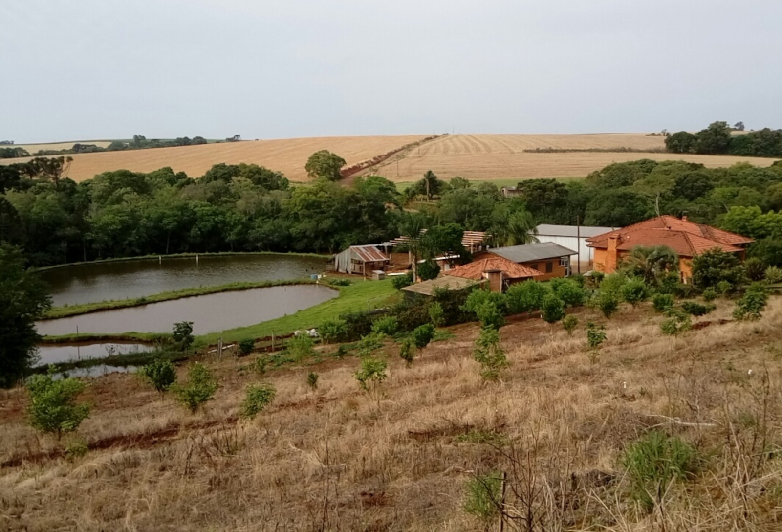 Alta no Funrural entra em vigor e pressiona caixa do agronegócio