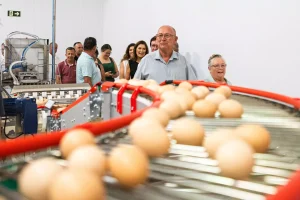 Rio Grande do Sul ganha um dos incubatórios mais modernos do Brasil