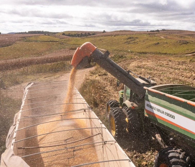 Transporte de grãos: como reduzir custos operacionais no campo?