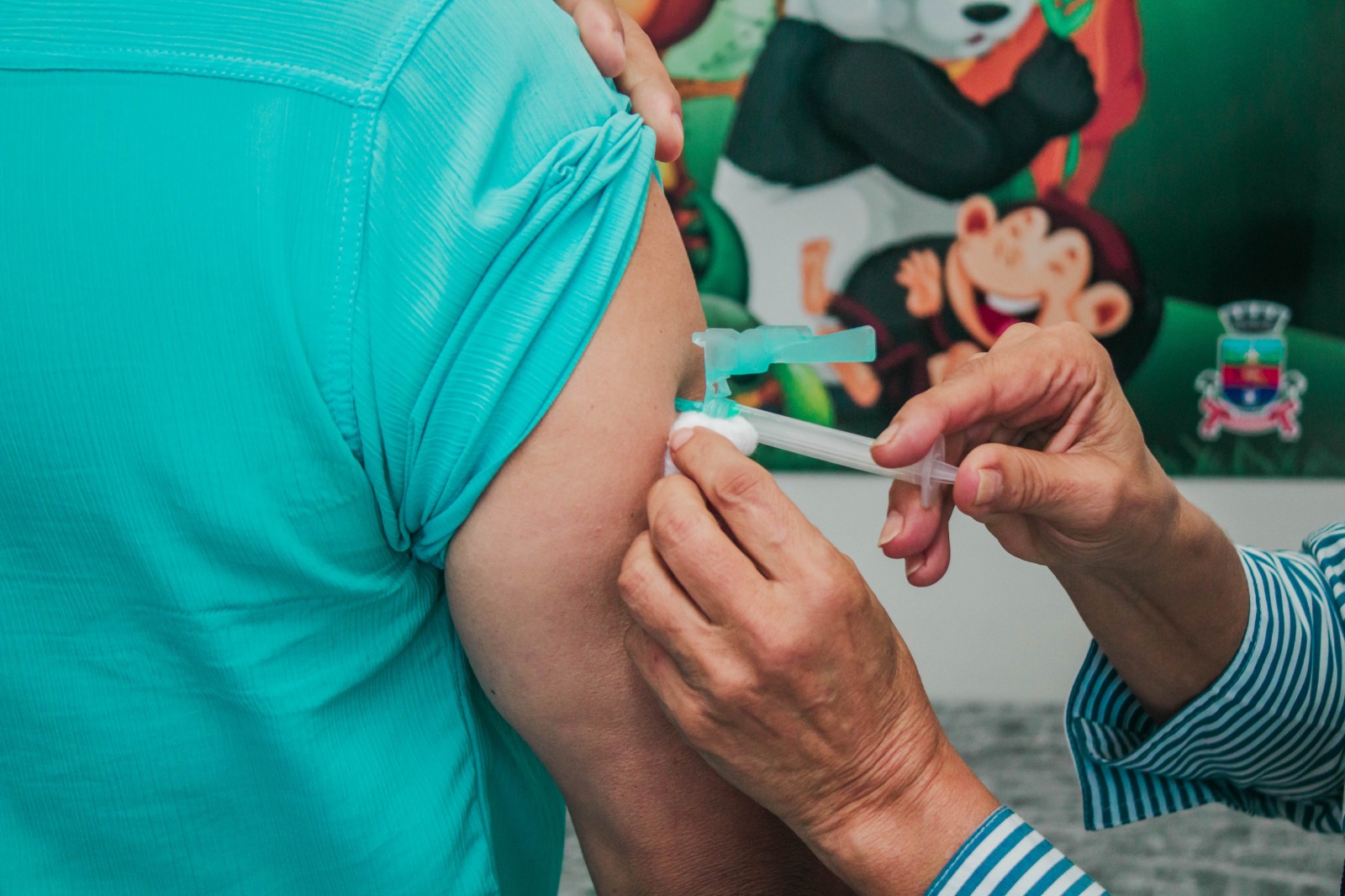 Ação de reforço sábado (30) em Carazinho vai vacinar para prevenir a Influenza