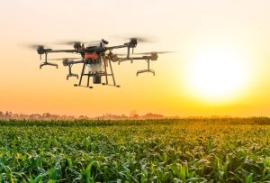 China amplia participação em feiras agrícolas no Brasil