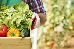 Projeto propõe o “Dia Estadual da Agroindústria Familiar”