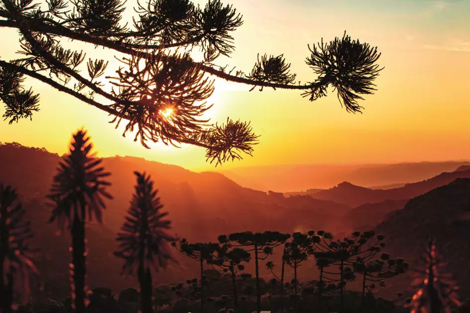 Turismo registra crescimento de 11,4% no Rio Grande do Sul em 2025