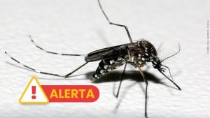 Segundo caso de morte por dengue no Rio Grande do Sul em 2026 é confirmado