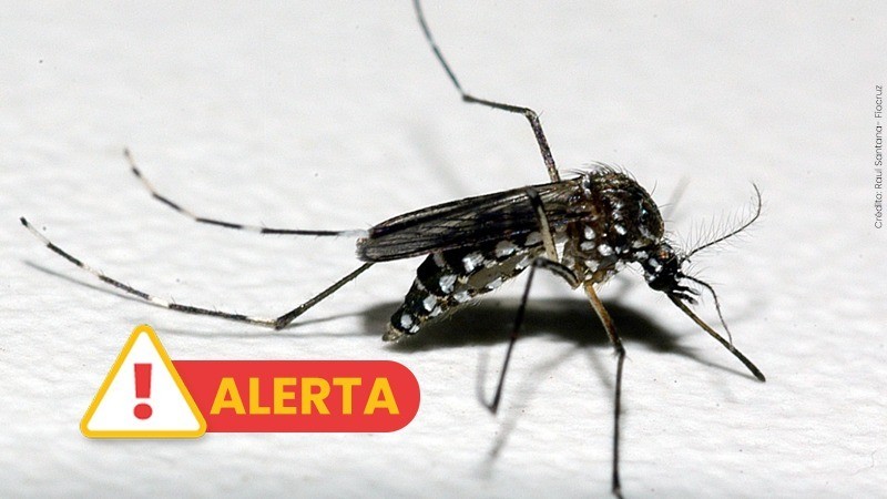 Segundo caso de morte por dengue no Rio Grande do Sul em 2026 é confirmado