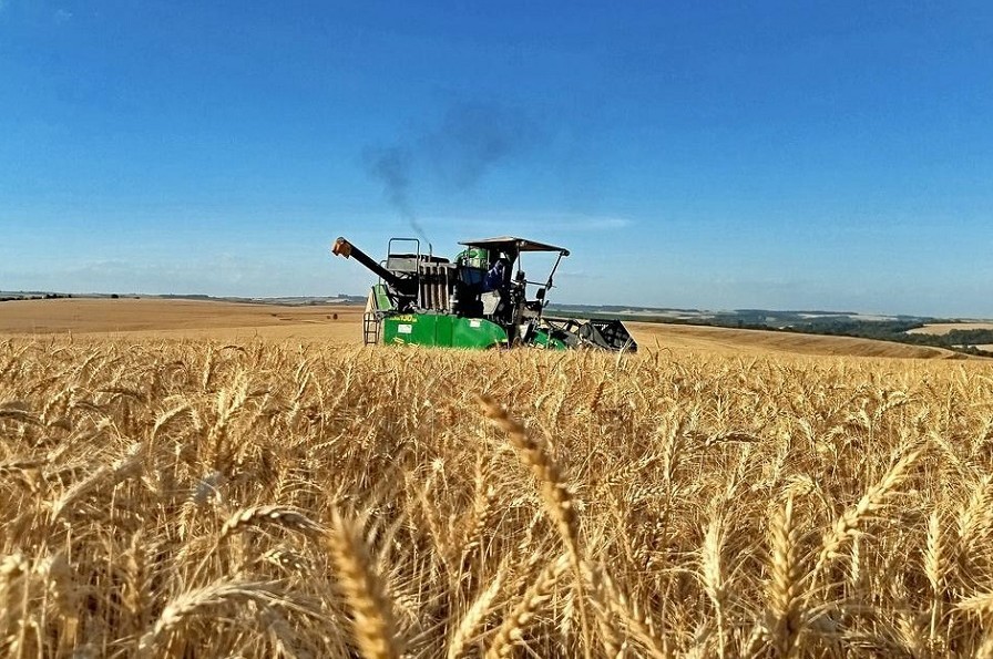 Seguro rural aprovado na Câmara pode baratear crédito e acelerar indenizações no campo