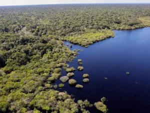 Amazônia brasileira recupera superfície de água após dois anos de seca severa