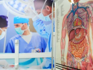 Doenças Inflamatórias Intestinais afetam 10 milhões de pessoas