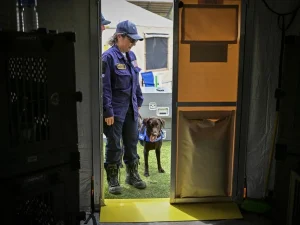 Cães socorristas trabalham contra o relógio na Venezuela